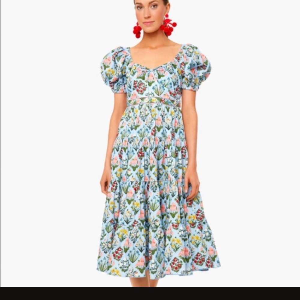 NWOT Agua Bendita dupe- blue floral maxi dress- Size Large